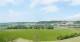 St. Florian (Linz-Land) Mi. 27.5.