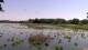Les Landes-Genusson Mi. 27.5.