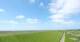 Westerhever Mi. 27.5.