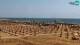 Bibione Mi. 27.5.