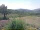 Cantalupo Ligure Do. 28.5.
