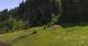 Going am Wilden Kaiser Do. 28.5.