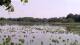 Les Landes-Genusson Do. 28.5.