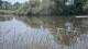 Les Landes-Genusson Do. 28.5.
