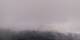 Saint-Philippe Do. 28.5.