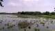 Les Landes-Genusson Do. 28.5.