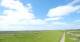 Westerhever Do. 28.5.