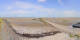 Noirmoutier Do. 28.5.