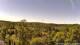 Altenau (Harz) Do. 28.5.