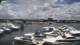 Naples, Florida Do. 28.5.
