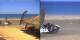 Marsa Alam Fr. 29.5.