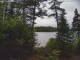 Hoel Pond, New York Fr. 29.5.