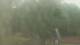 Fairview, Tennessee Fr. 29.5.