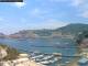 Ponza Fr. 29.5.