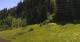 Going am Wilden Kaiser Fr. 29.5.