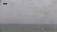 Baleal Fr. 29.5.