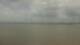 Arabi, Louisiana Fr. 29.5.