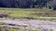Les Landes-Genusson Fr. 29.5.