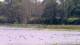 Les Landes-Genusson Fr. 29.5.