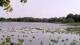 Les Landes-Genusson Fr. 29.5.