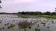 Les Landes-Genusson Fr. 29.5.