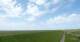 Westerhever Fr. 29.5.