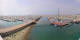 Le Havre Fr. 29.5.