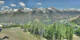 Ahrntal Fr. 29.5.
