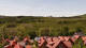 Schierke Fr. 29.5.
