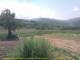 Cantalupo Ligure Sa. 30.5.