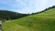 La Bresse Sa. 30.5.