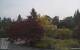 Son en Breugel So. 31.5.