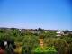 Castellana Grotte So. 31.5.