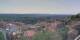 Grasse So. 31.5.