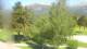 Barcelonnette So. 31.5.