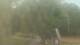 Fairview, Tennessee So. 31.5.