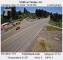 Timber, Oregon So. 31.5.