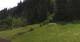 Going am Wilden Kaiser So. 31.5.