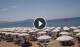 Paestum So. 31.5.
