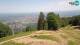 Maribor So. 31.5.