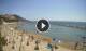 Cervo So. 31.5.