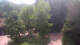 Bad Zwischenahn So. 31.5.