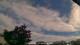 Carrum So. 31.5.
