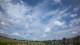 Winterton So. 31.5.