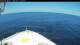 Norwegian Bliss So. 31.5.