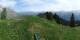 Braunwald So. 31.5.