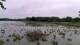 Les Landes-Genusson So. 31.5.