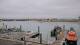 Port-en-Bessin-Huppain So. 31.5.