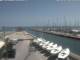 Cervia So. 31.5.