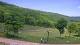 Nellysford, Virginia So. 31.5.